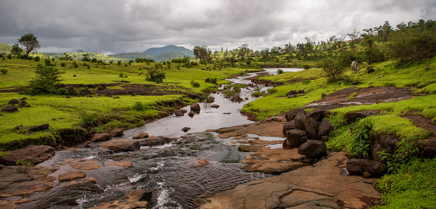 Saputara Adventure Camp