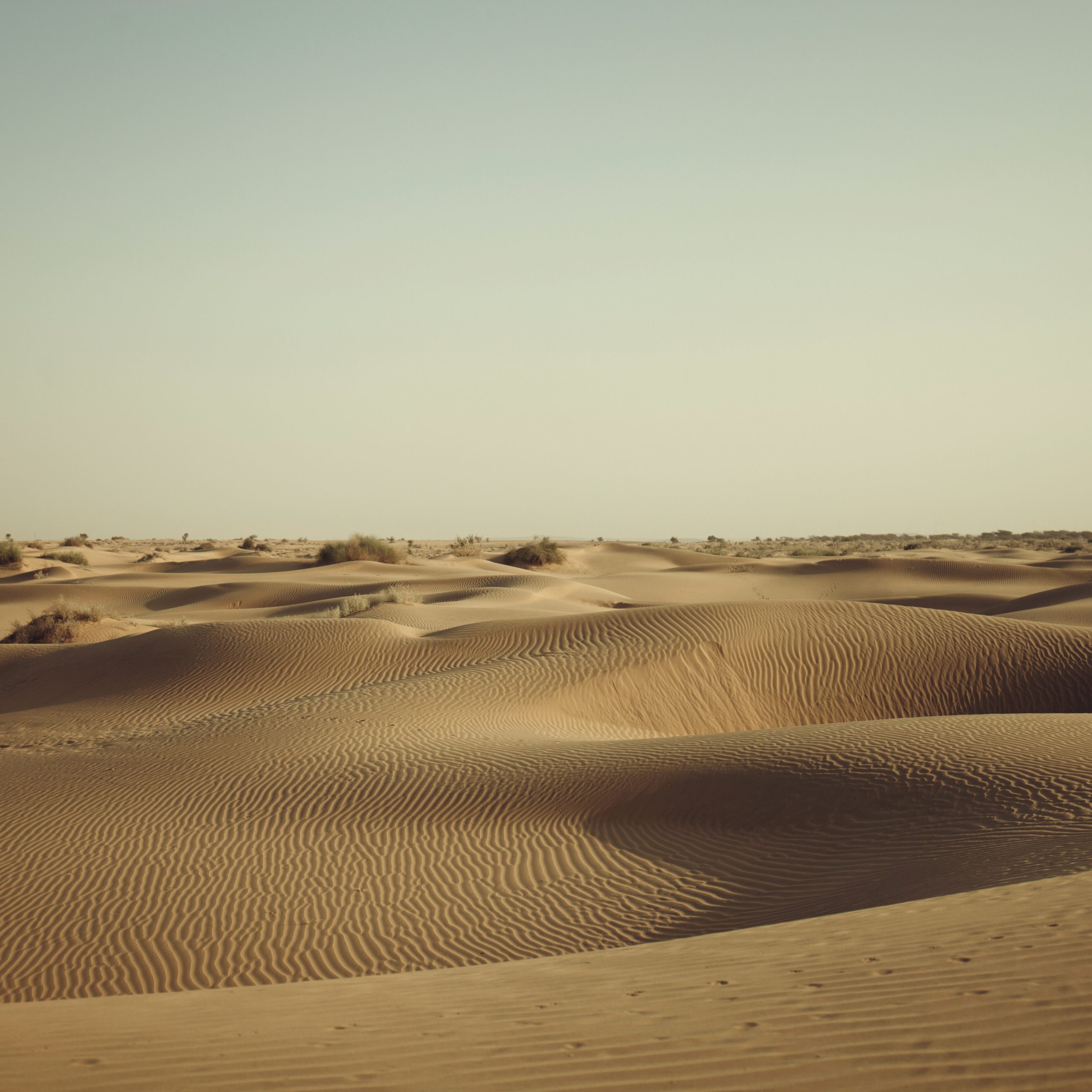 Jaisalmer (EX- Jaisalmer)